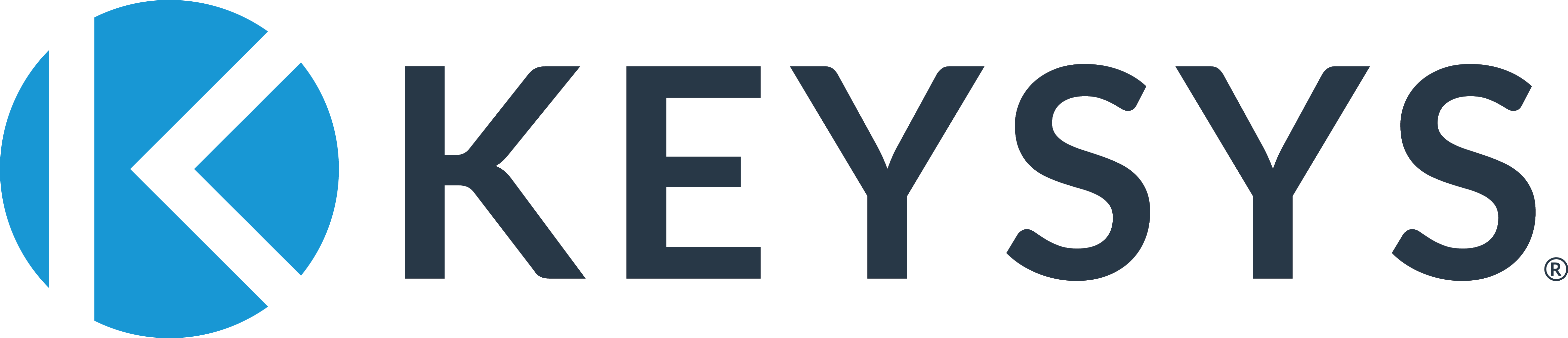 KEYSYS – Muted BG